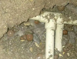 成武卫生间测漏