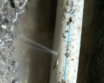 成武卫生间测漏水多少钱