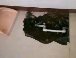 成武卫生间测漏水多少钱